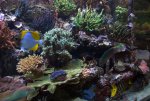 DSC01458.jpg
