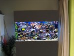 Aquarium AF.jpg