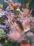 IMAG0290.jpg