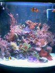 IMAG0306.jpg