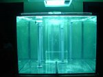 20080721-Stroming.jpg