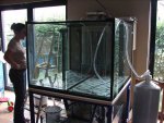 20080723-vullen.jpg