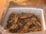 20080725-levendsteendoos1.jpg