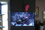 IMG_3263.JPG