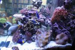 IMG_3273.JPG