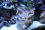 IMG_3279.JPG