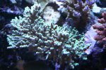 IMG_3297.JPG