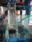 20090725-fos.jpg