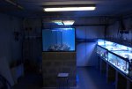 DSC01504.jpg