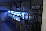 DSC01505.jpg