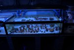 DSC01508.jpg