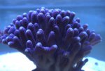 DSC01513.jpg