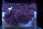 DSC01518.jpg