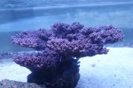 DSC01515.JPG