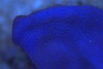 DSC01538.jpg
