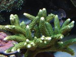 20090731_46.JPG