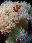 20090731_49.JPG