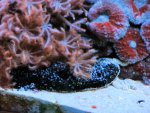 20090731_51.JPG
