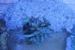 DSC01551.JPG