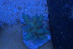 DSC01552.jpg