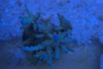 DSC01554.jpg