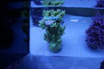 DSC01559.JPG