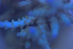 DSC01564.jpg