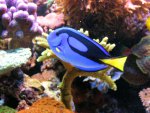 20090802_3.JPG