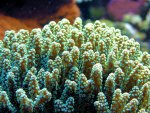 20090802_36.JPG
