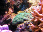 20090802_49.JPG