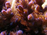 20090802_15.JPG