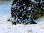 20090802_35.JPG