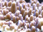 20090802_38.JPG