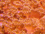 20090802_32.JPG