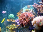 20090802_62.JPG