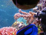 20090802_58.JPG