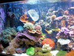 20090802_71.JPG