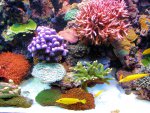 20090802_73.JPG