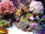 20090802_74.JPG