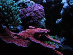 20090802_92.JPG