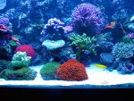 20090802_112.JPG