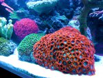 20090802_115.JPG