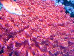 20090802_123.JPG