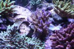 IMG_3975.JPG