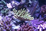 IMG_3977.JPG