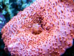 20090802_104.JPG