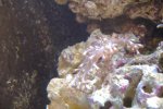 DSCF4453.jpg