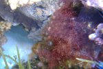 DSCF4460.jpg