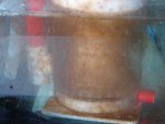 20090813-alg.jpg