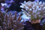 IMG_5056.JPG